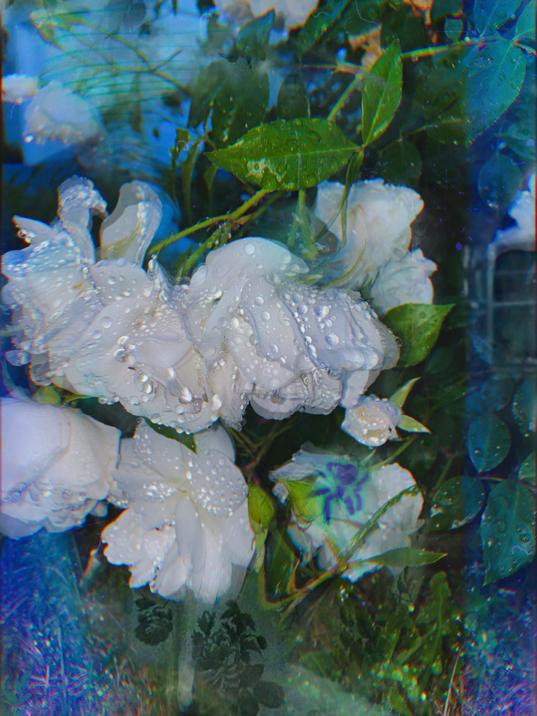 Digital