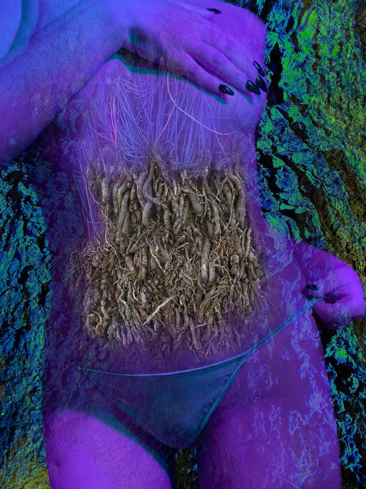 Digital