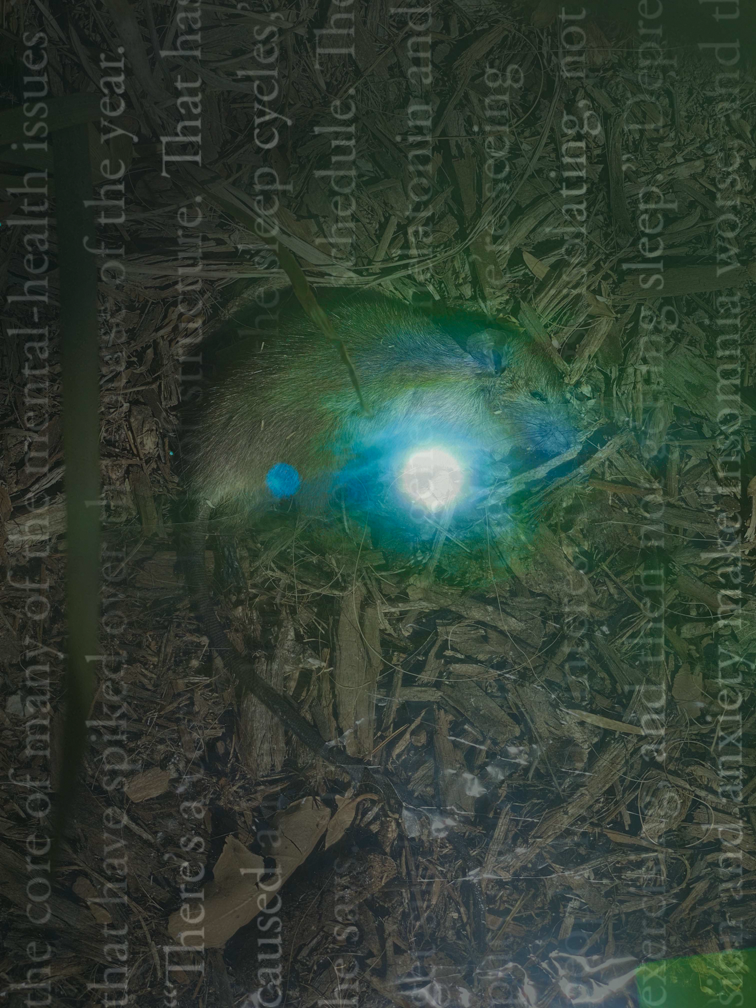 Digital